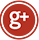 Google  +